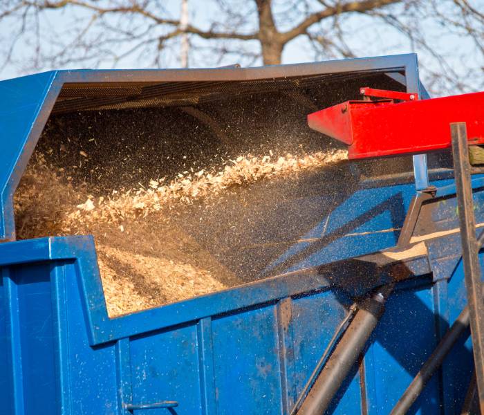 small tree removal and chipping service in Cincinnati